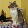 Отзыв от Яна Кошелева